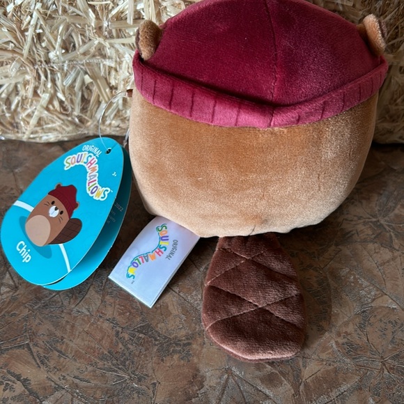 Squishmallows Chip the Beaver 🦫 - Picture 5 of 7